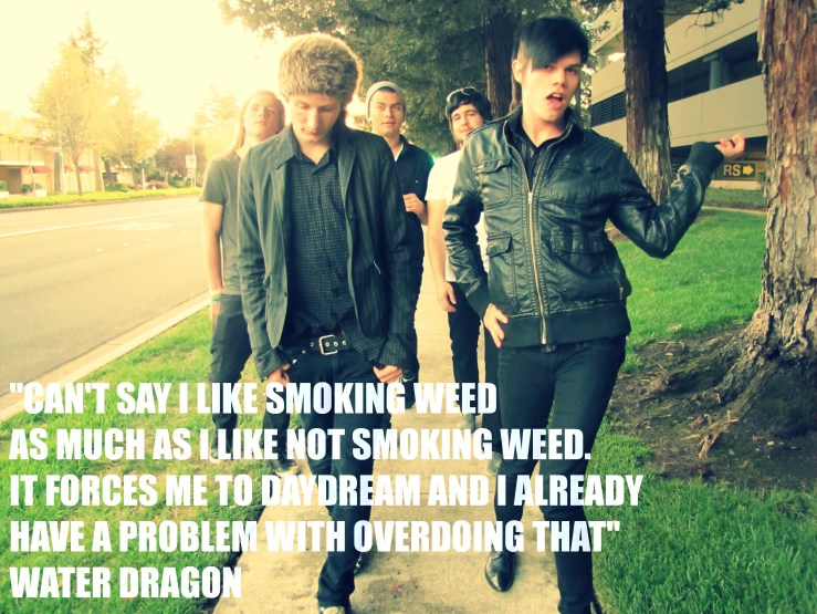 as much as i like not smoking weed water dragon jamey blaze memes