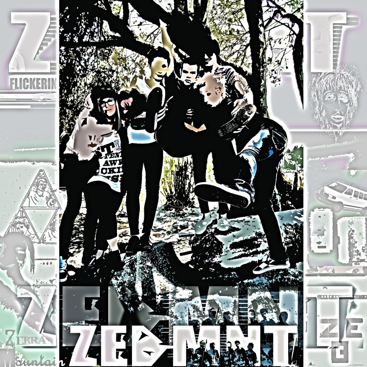 Zebra Mountain - ZEB MNT (2013) live album recording los medanos college pitssburg california 2010 punk band grindcore gilman dennis orason dawsun harris jake tyman jacob j